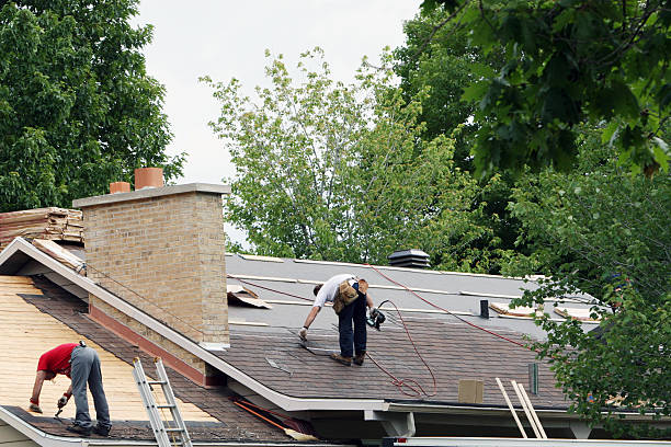 Best Roof Maintenance Services  in Newburgh Heights, OH
